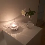 Luce Penzion