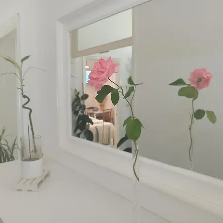 Luce Vendégház Lucca