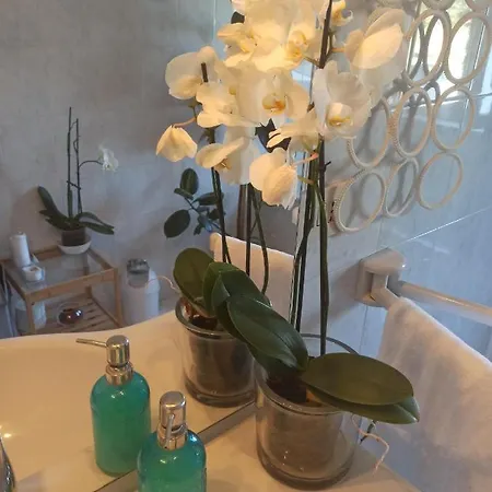 Luce Maison d'hôtes Lucques